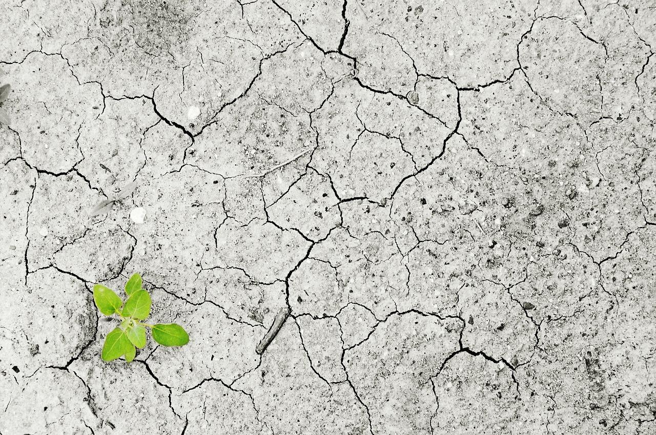 Climate Positive